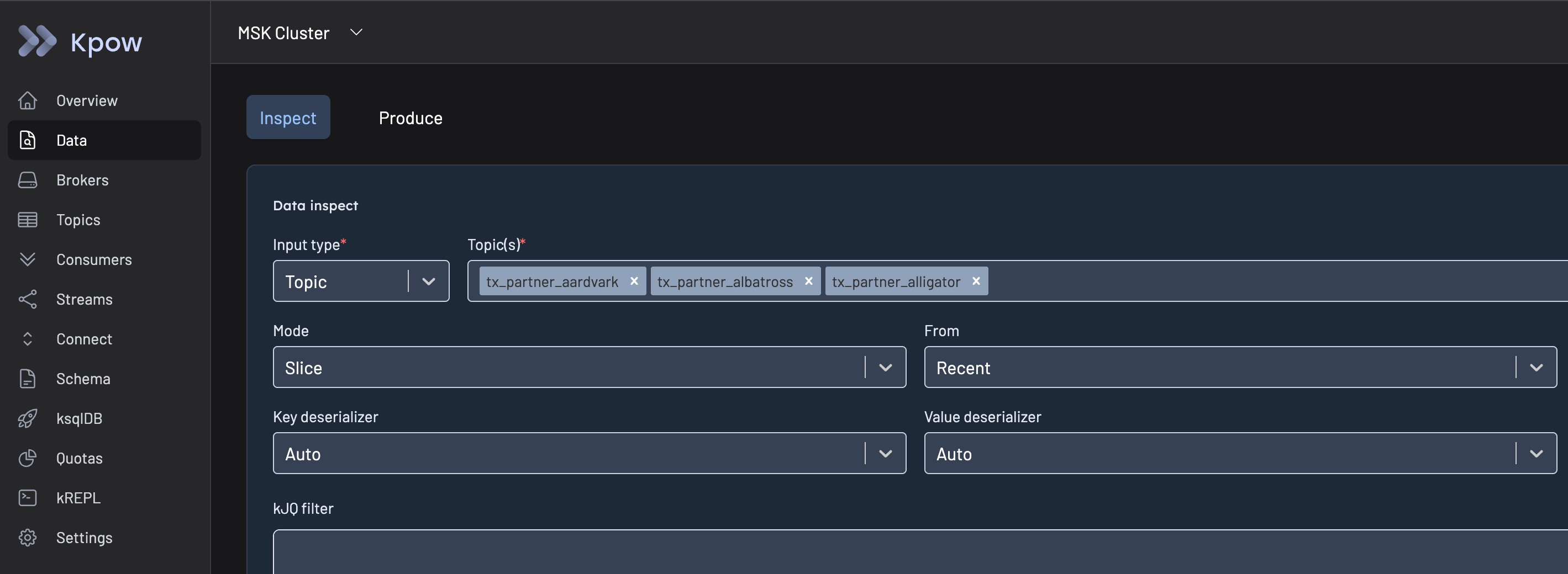 The Data Inspect UI